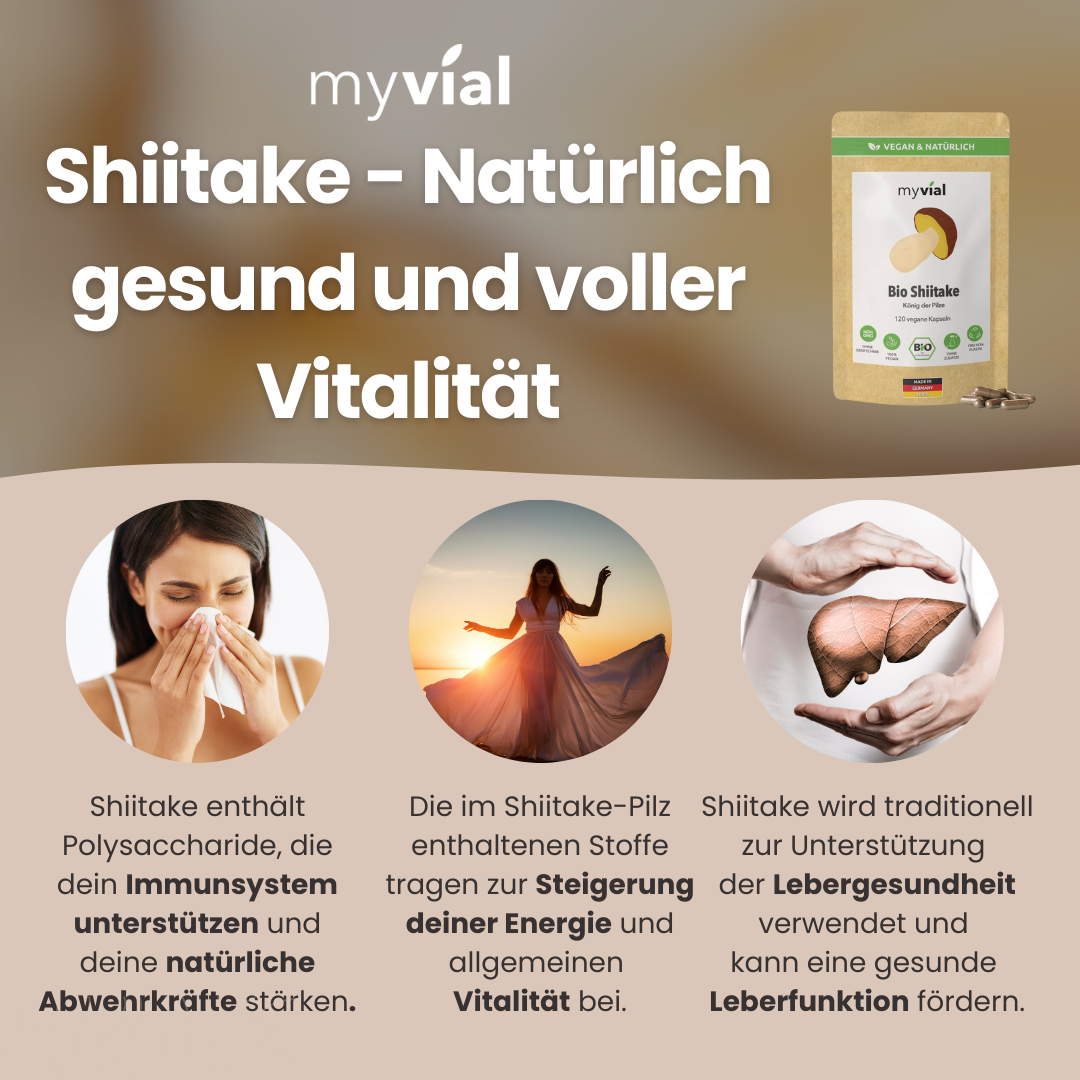 Vitalpilz Bundle