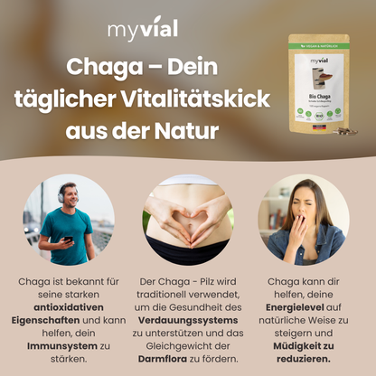 Vitalpilz Bundle