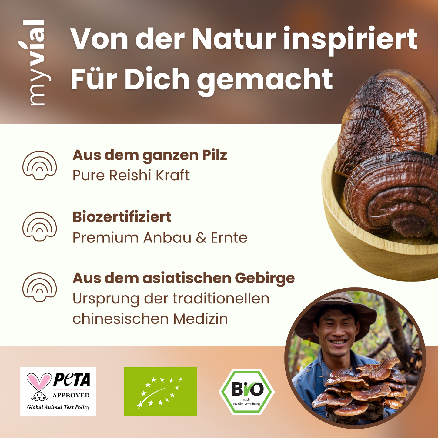 Bio Reishi Pulver