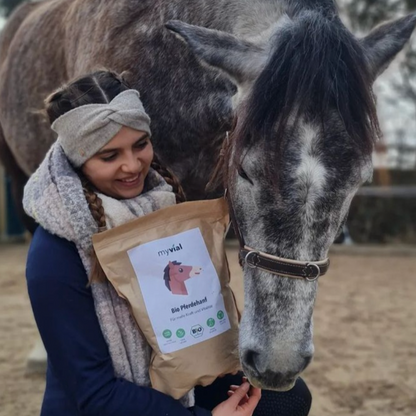 Bio Kräuter Grascobs Heucobs Leckerli für Pferde 6kg