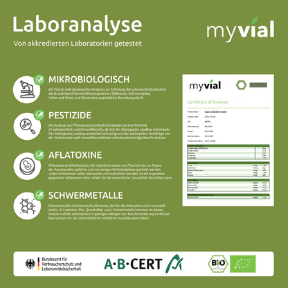 Bio Chlorella Pulver