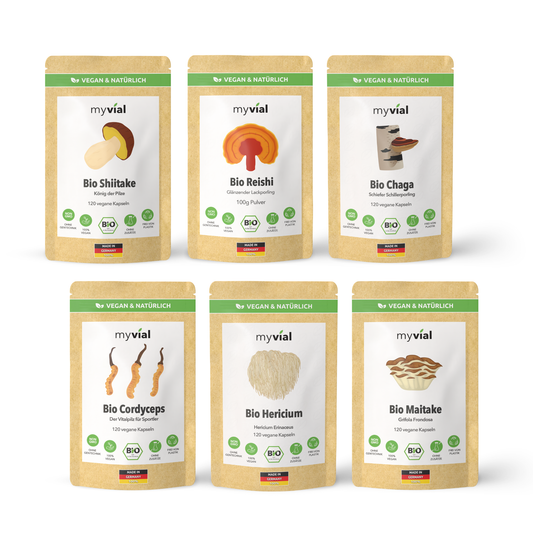 Vitalpilz Bundle